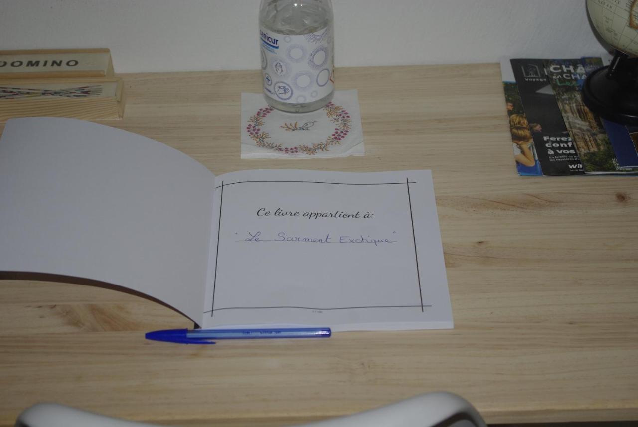 Sarment Champenois Appartement Châlons-en-Champagne Buitenkant foto